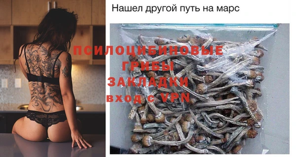 2c-b Осинники