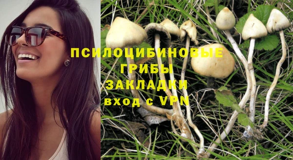 круглые Алексин