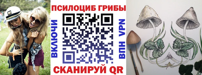 MEGA tor  Пустошка  Псилоцибиновые грибы Psilocybe 