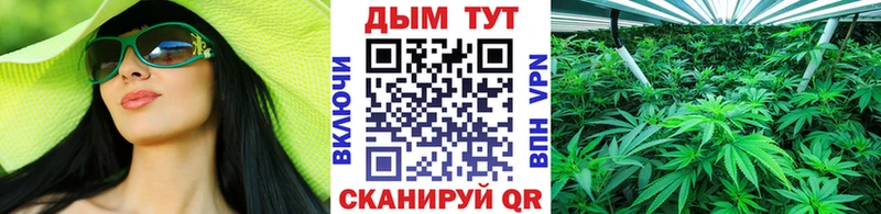 цена   даркнет клад  Шишки марихуана план  Пустошка 